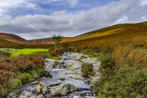New buildings must present ‘no net loss’ to nature, says Climate Change Council 