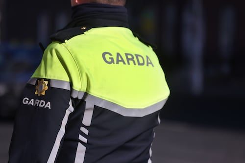 Hate speech by politicians ‘escalating tensions’ in Ireland, report finds 