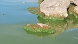 Lough Derg is drifting towards the fate of Lough Neagh, that once great lake now all but dead