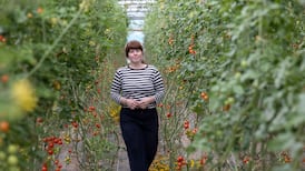 The rural Dublin family farm where the best chefs in Ireland source their produce