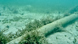 British-Irish naval patrols needed to protect undersea cables, says BIPA 