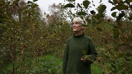 Two years ago we planted 24,000 native saplings – now our forest is thriving